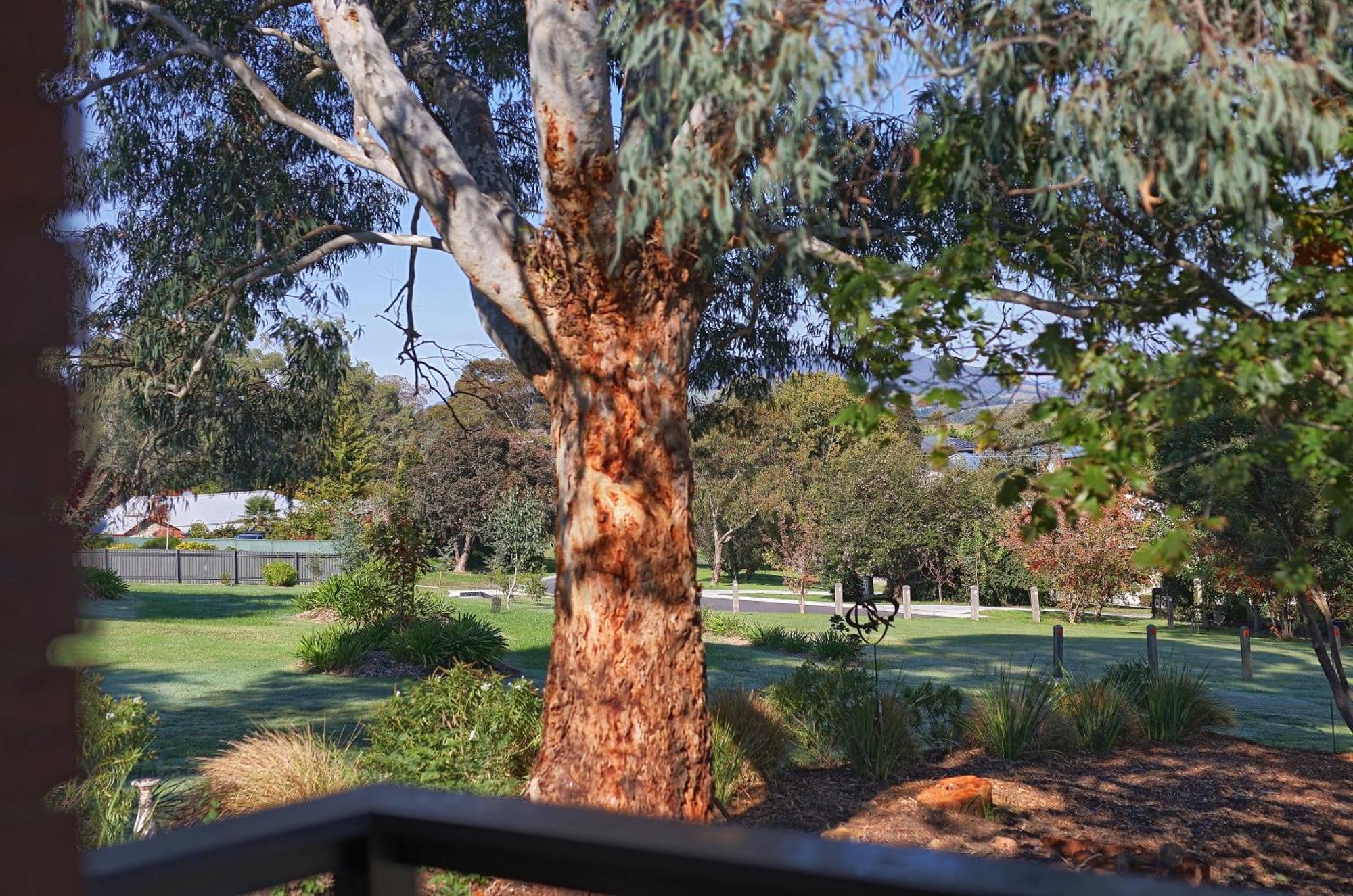 Yarra Gables Motel Healesville Dış mekan fotoğraf